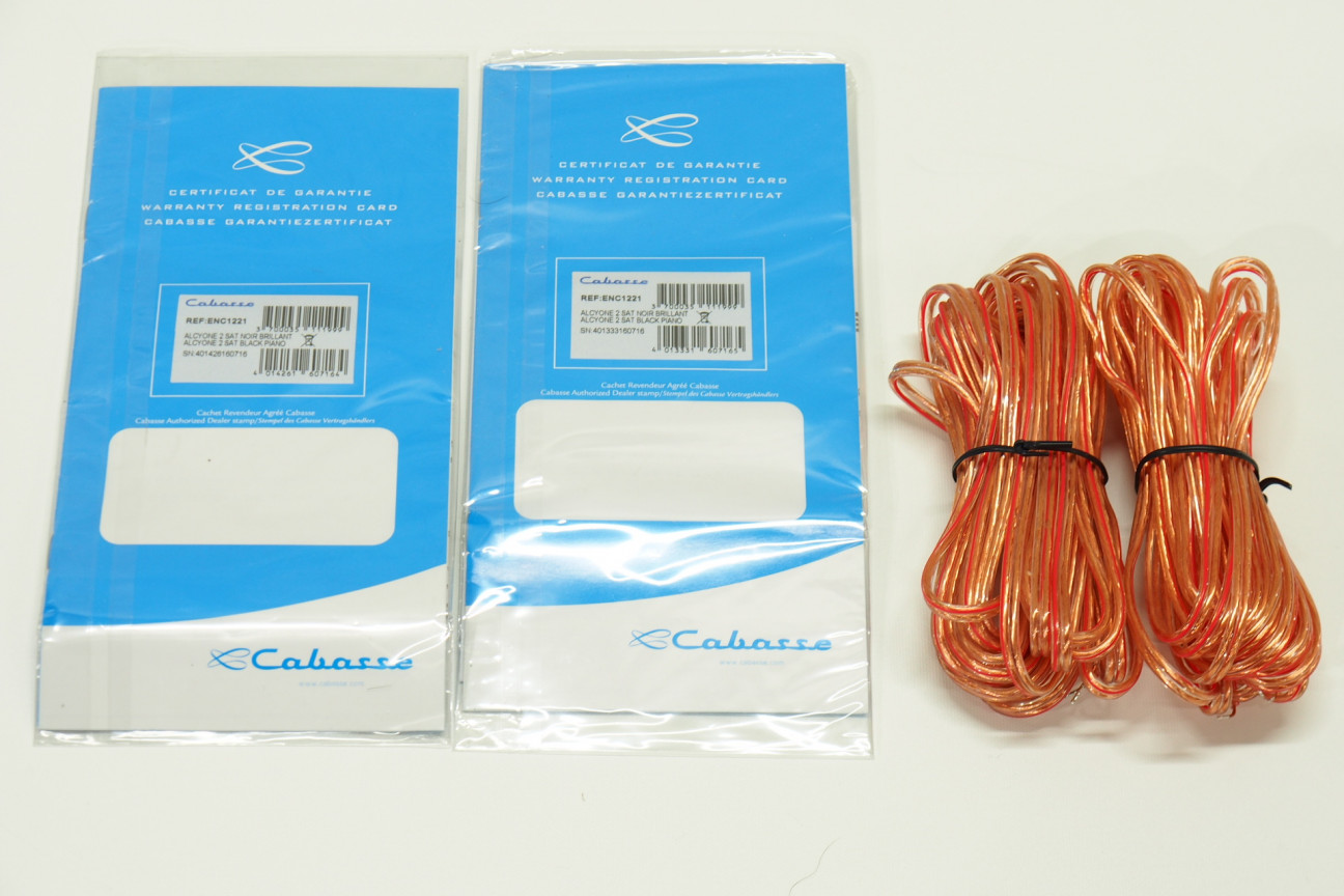 得価定番人気 2個セットカバッセ Cabasse ALCYONE2(ホワイト) EkFNP